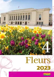 4 fleurs