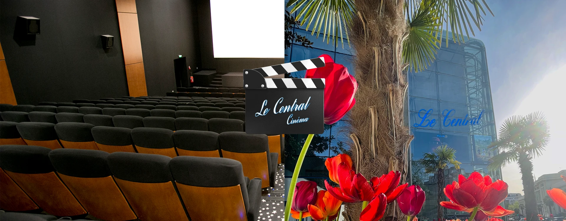 Cinéma Le Central