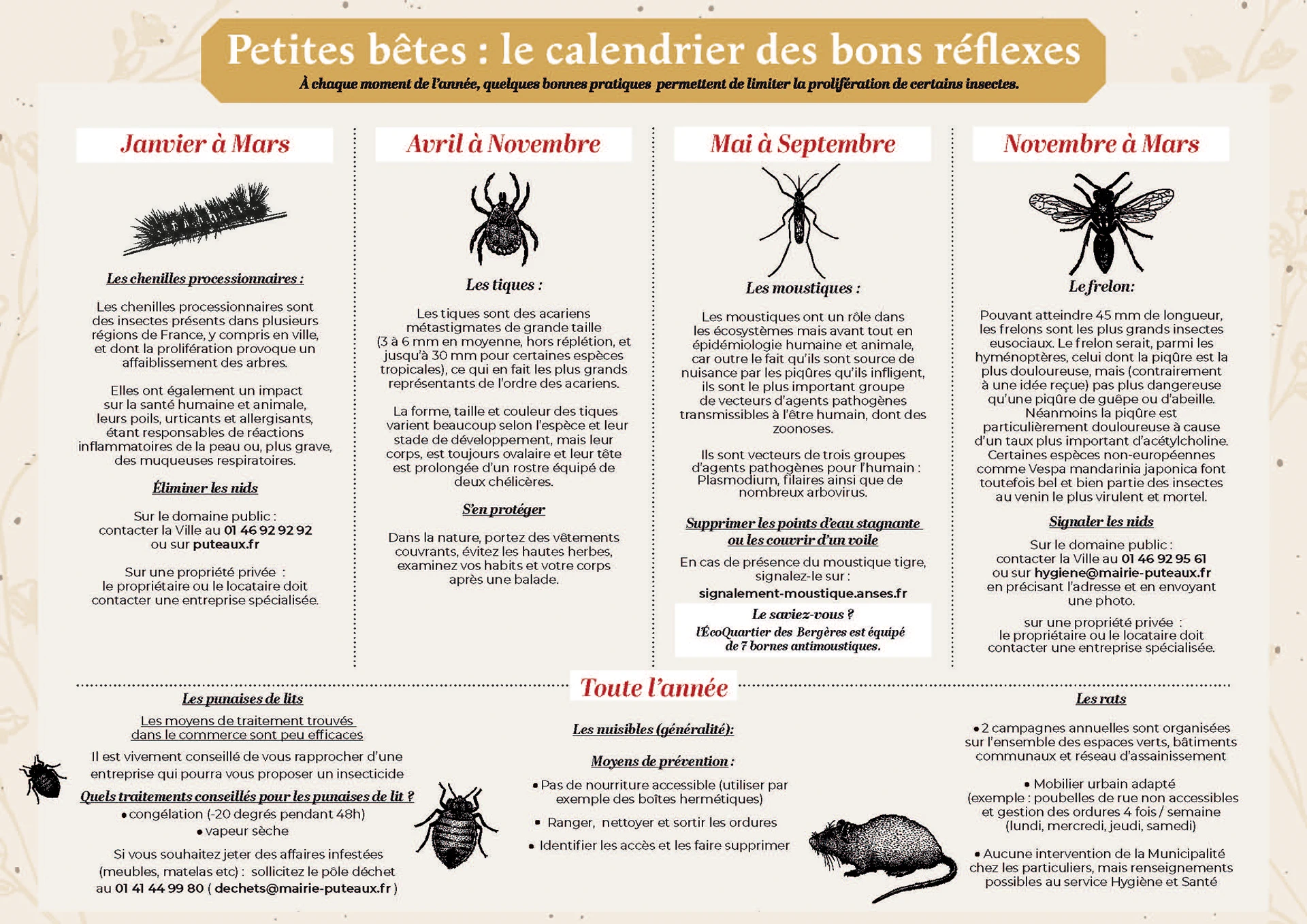 Petites betes le calendrier des bons