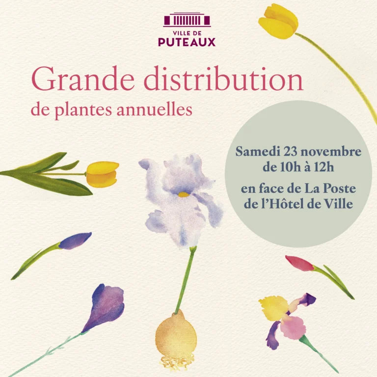 DT 7949 Distributionde fleurs à bulbes 1080x1080