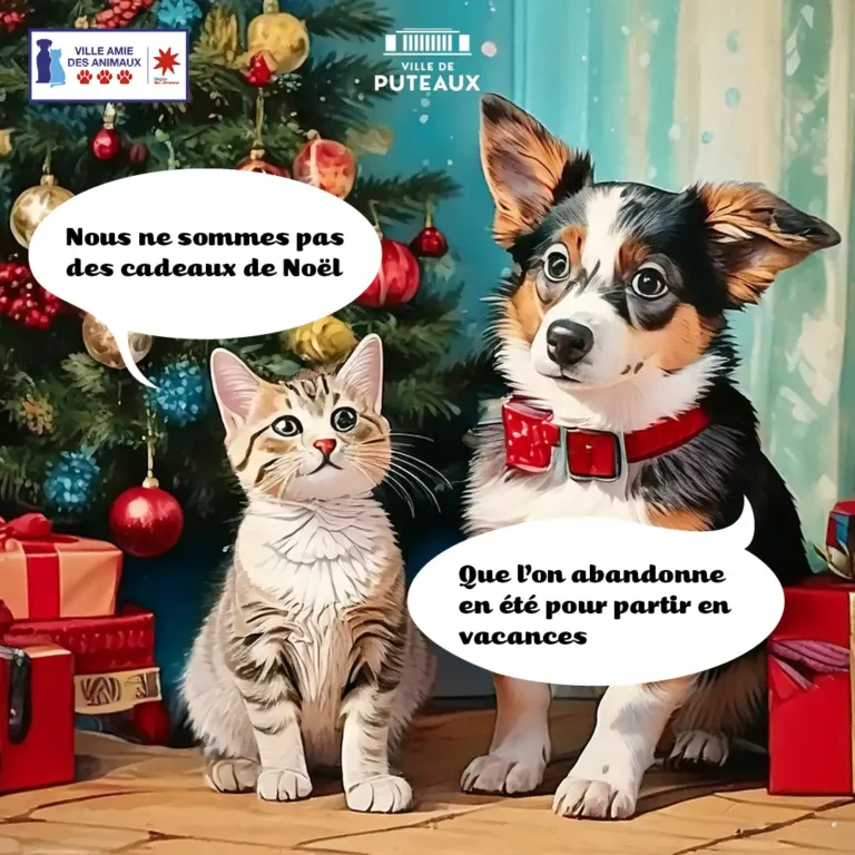 Chien WEB Noël