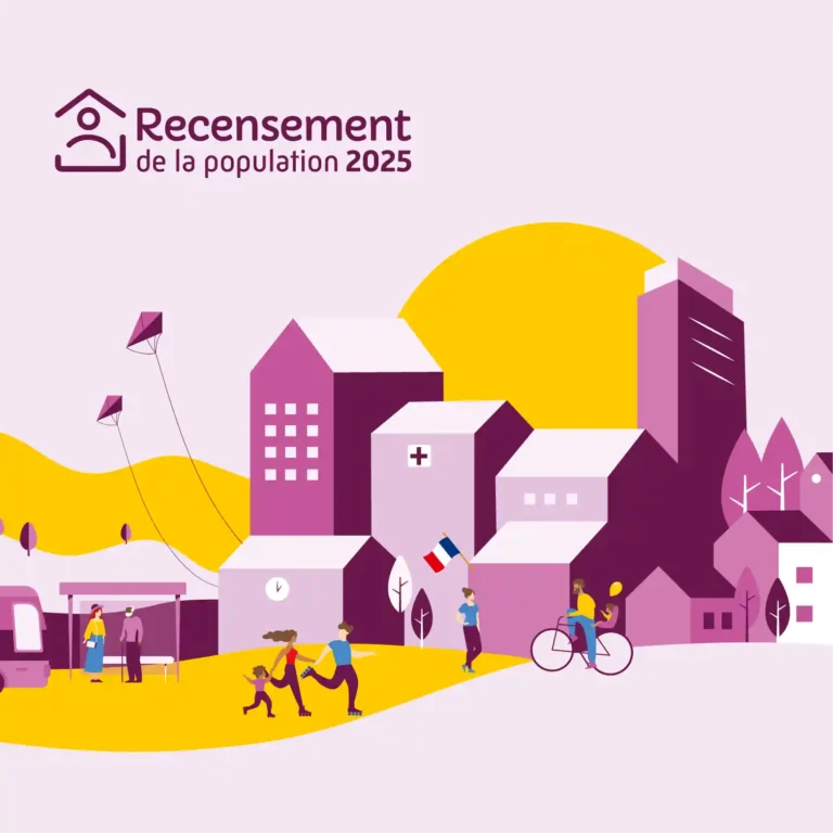 Recensement web