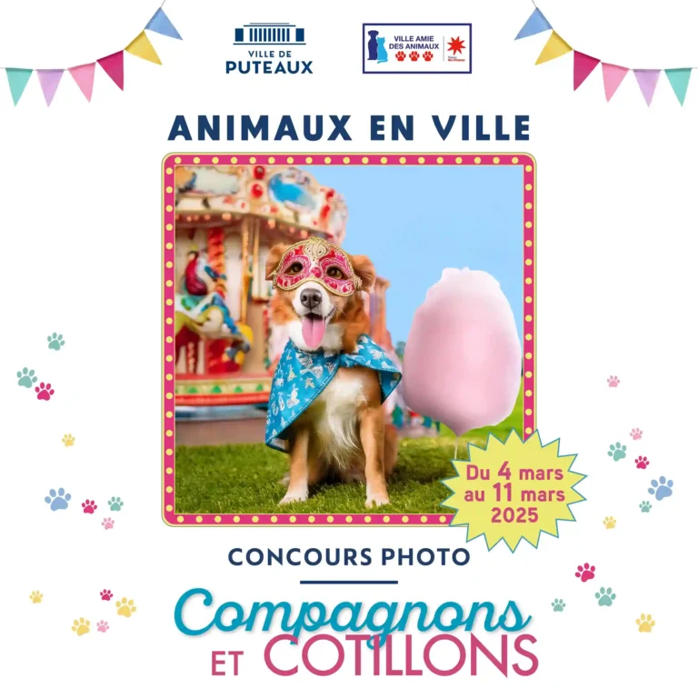 Visuel concours animalier 1080x1080_11zon